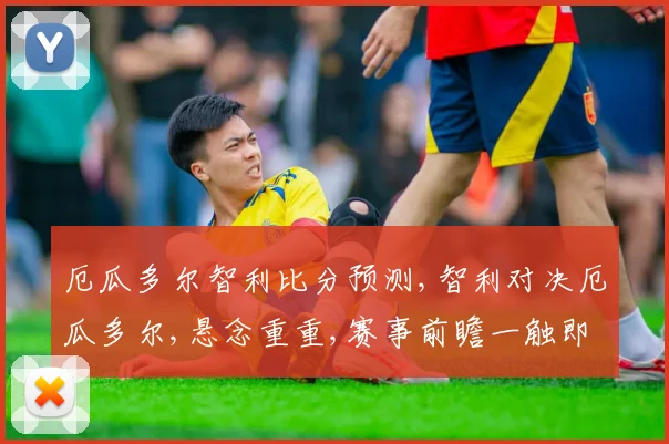 厄瓜多尔智利比分预测,智利对决厄瓜多尔,悬念重重,赛事前瞻一触即发,谁将问鼎